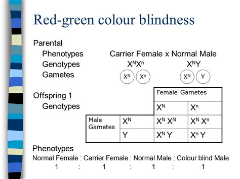 is red green color blindness recessive|can females be color blind.